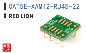 CAT5E-XAM12-RJ45-22 ͼƬ